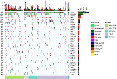 Characterizations of Cancer Gene Mutations in Chinese Metastatic Breast Cancer Patients